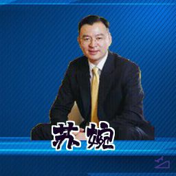 苏婉